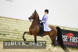 22BUCK_06457 proof