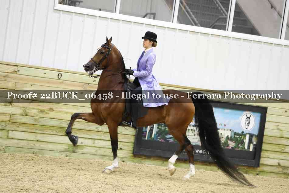 Proof 22BUCK_06458