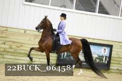 22BUCK_06458 proof