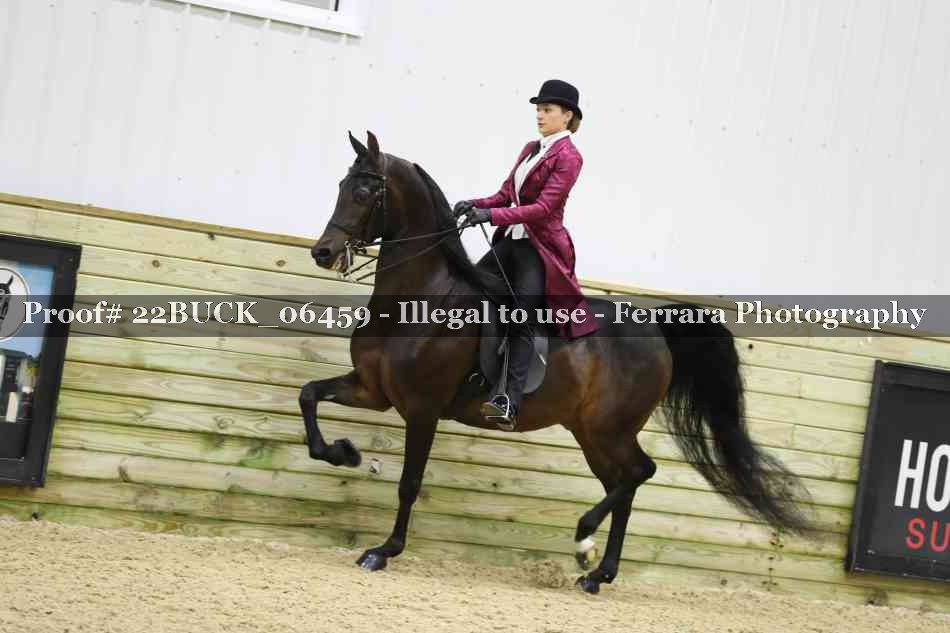Proof 22BUCK_06459