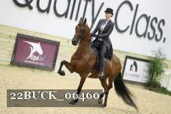 22BUCK_06460 proof