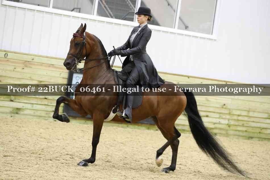 Proof 22BUCK_06461