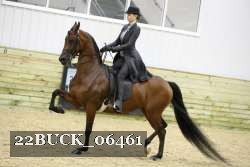 22BUCK_06461 proof