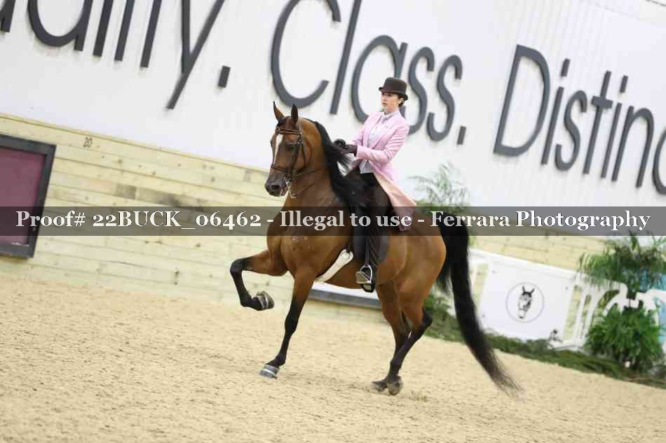 Proof 22BUCK_06462