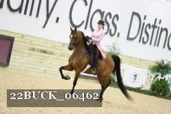 22BUCK_06462 proof