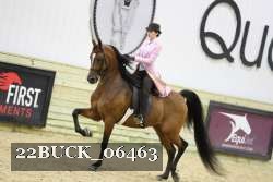 22BUCK_06463 proof