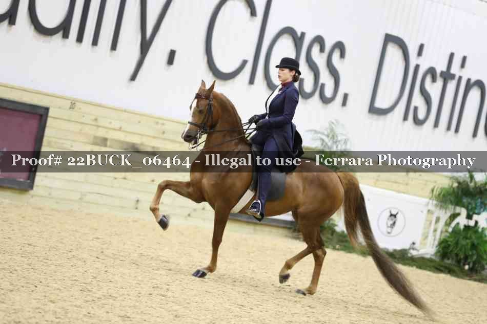 Proof 22BUCK_06464