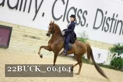 22BUCK_06464 proof