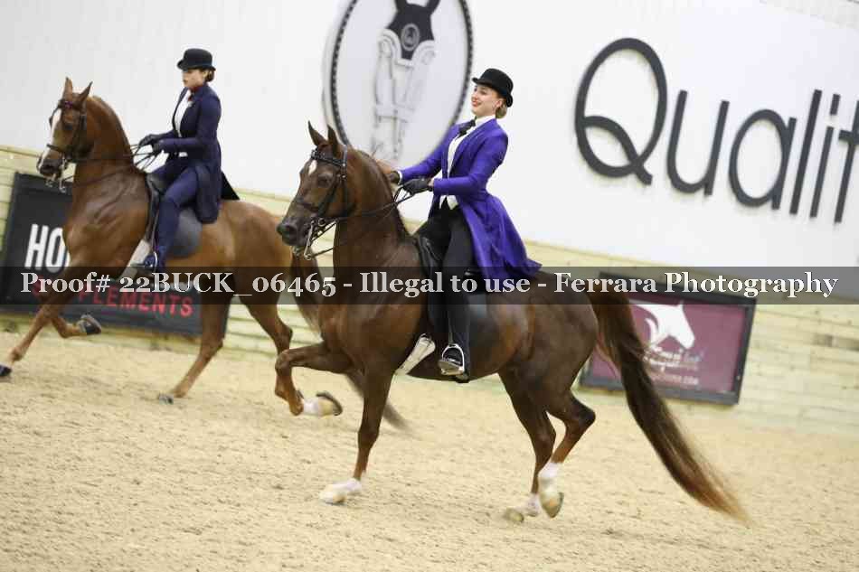 Proof 22BUCK_06465