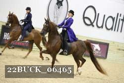 22BUCK_06465 proof