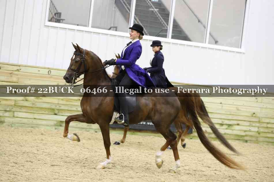 Proof 22BUCK_06466