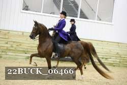 22BUCK_06466 proof