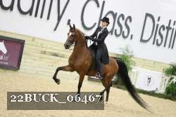 22BUCK_06467 proof