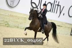 22BUCK_06469 proof
