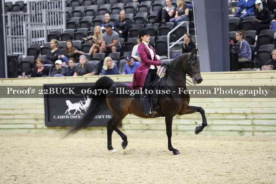 Proof 22BUCK_06470