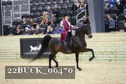 22BUCK_06470 proof