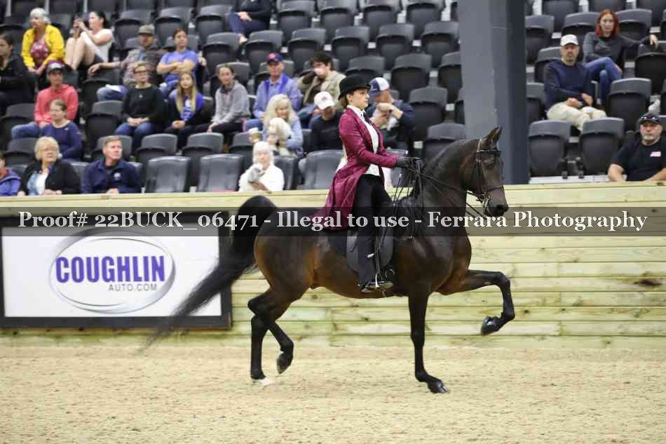 Proof 22BUCK_06471
