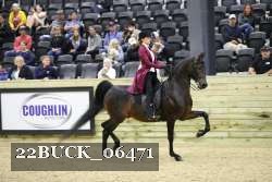 22BUCK_06471 proof