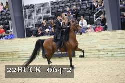 22BUCK_06472 proof