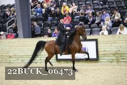 22BUCK_06473 proof