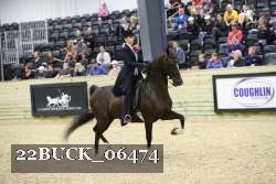 22BUCK_06474 proof