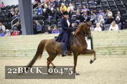 22BUCK_06475 proof