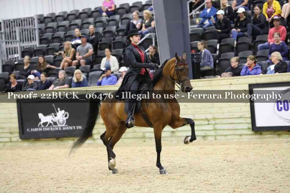 Proof 22BUCK_06476