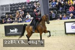 22BUCK_06476 proof