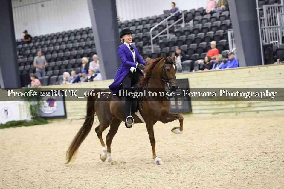 Proof 22BUCK_06477