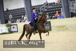 22BUCK_06477 proof