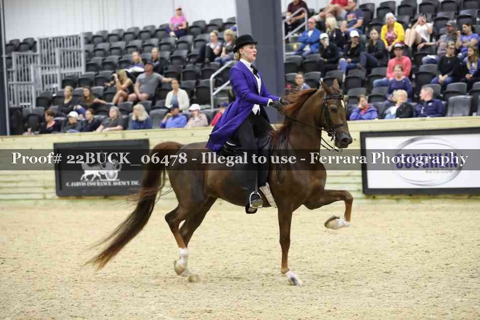 Proof 22BUCK_06478