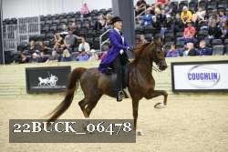22BUCK_06478 proof
