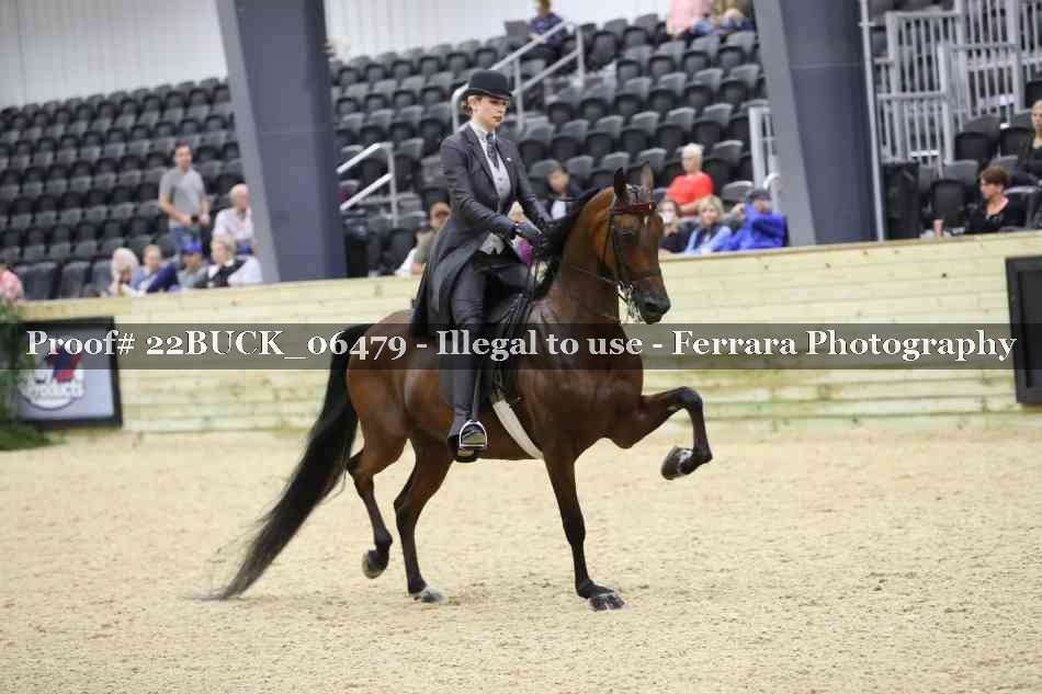 Proof 22BUCK_06479