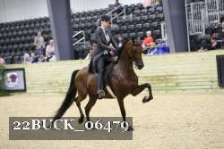 22BUCK_06479 proof