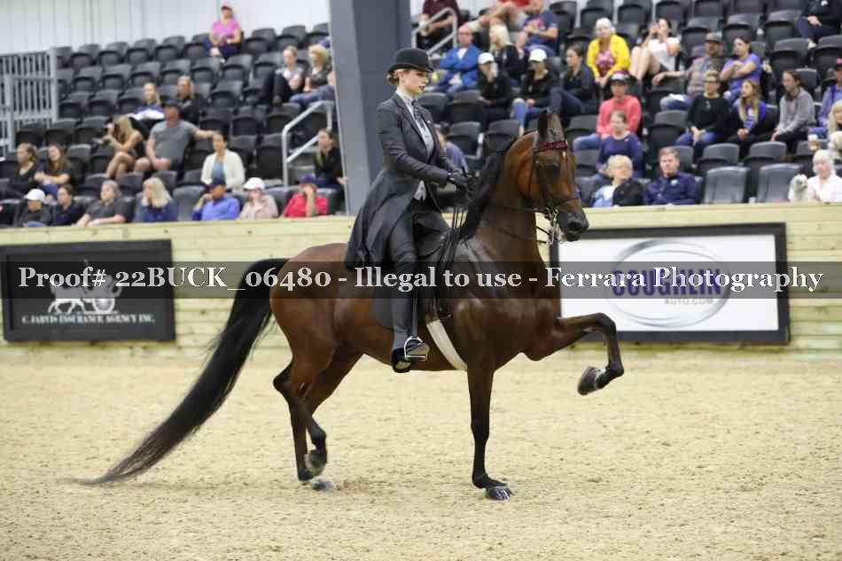 Proof 22BUCK_06480