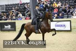 22BUCK_06480 proof