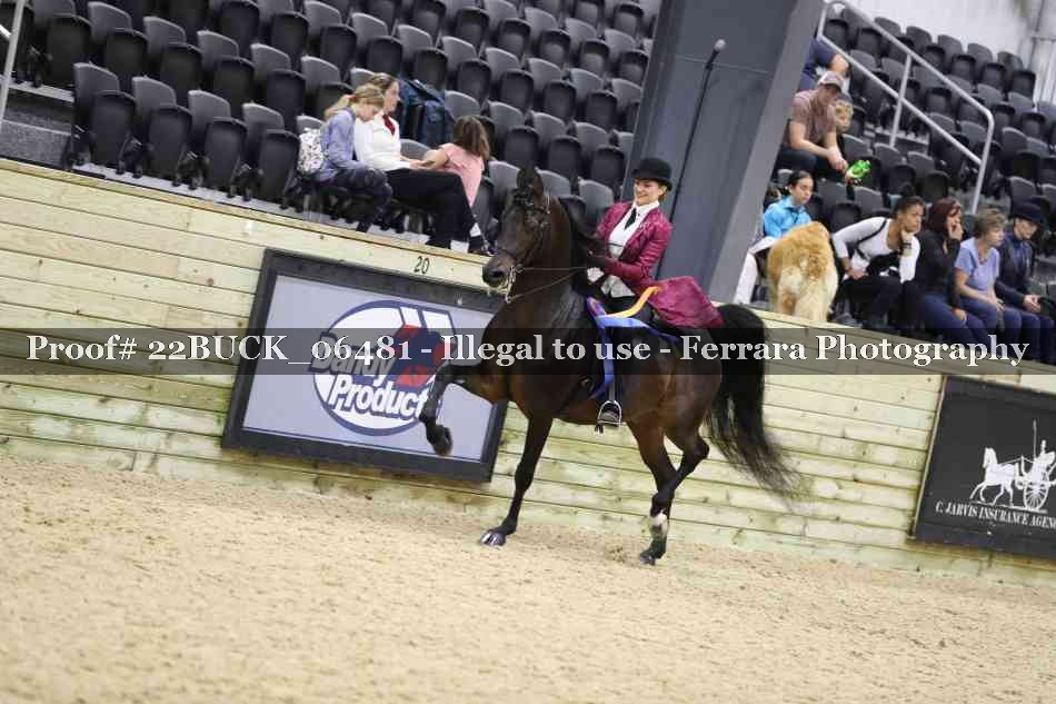 Proof 22BUCK_06481