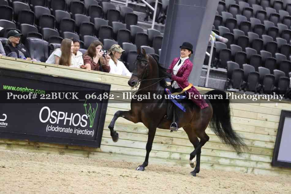 Proof 22BUCK_06482