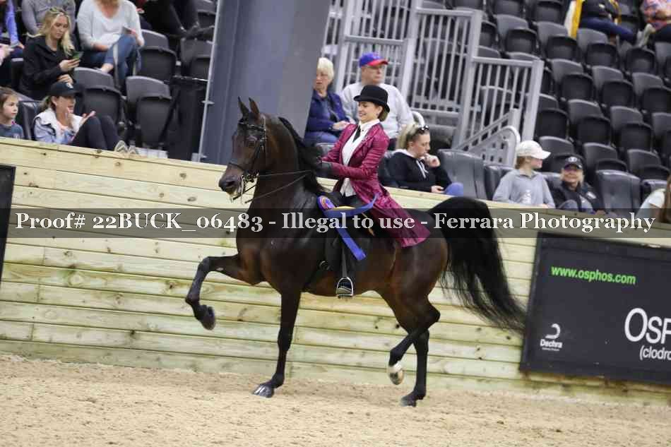 Proof 22BUCK_06483