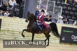 22BUCK_06483 proof