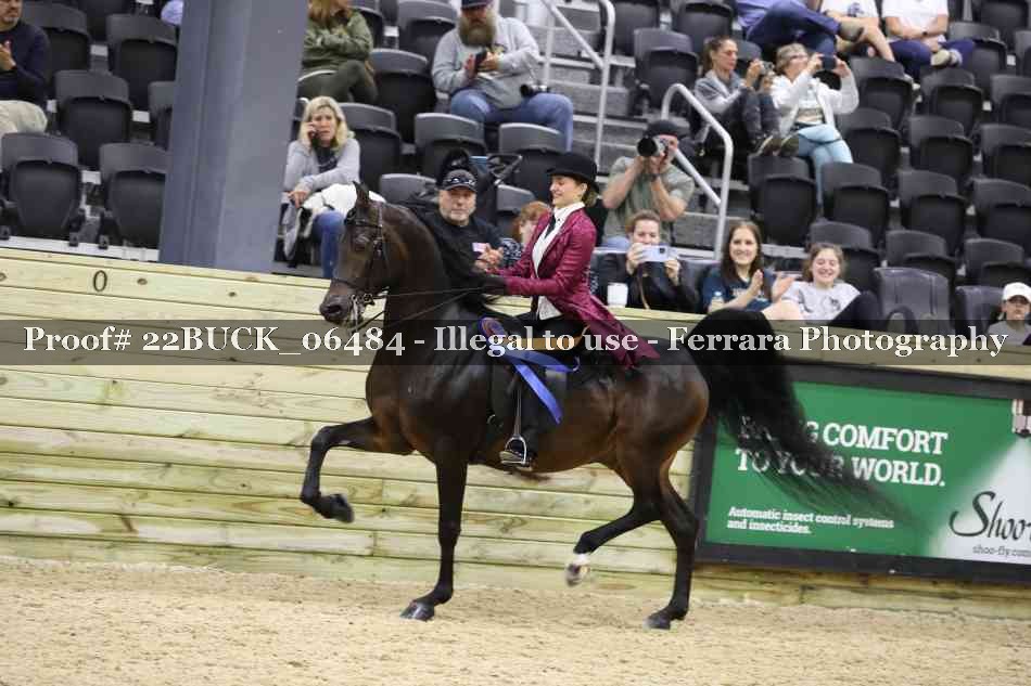 Proof 22BUCK_06484