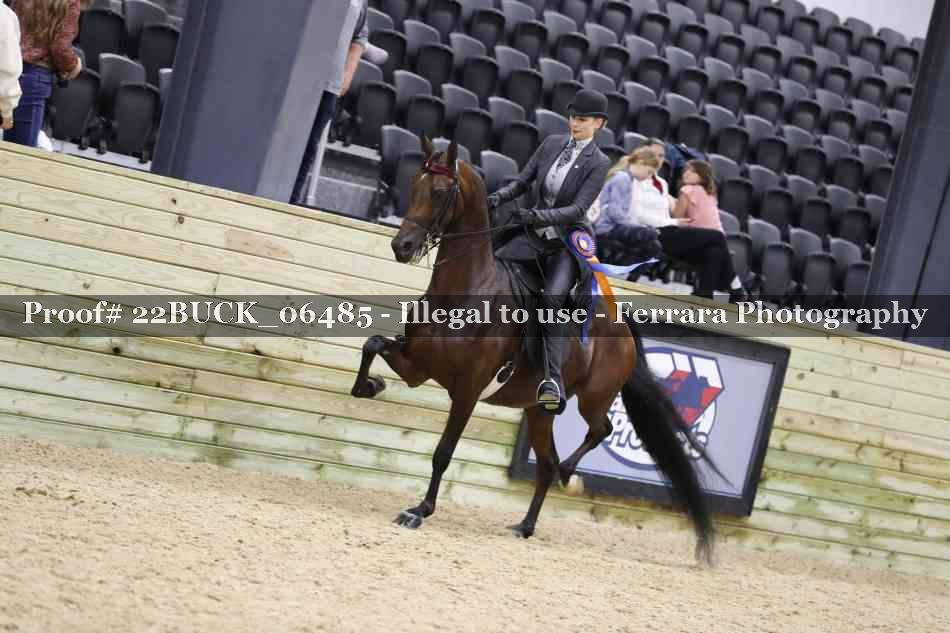 Proof 22BUCK_06485