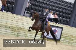 22BUCK_06485 proof