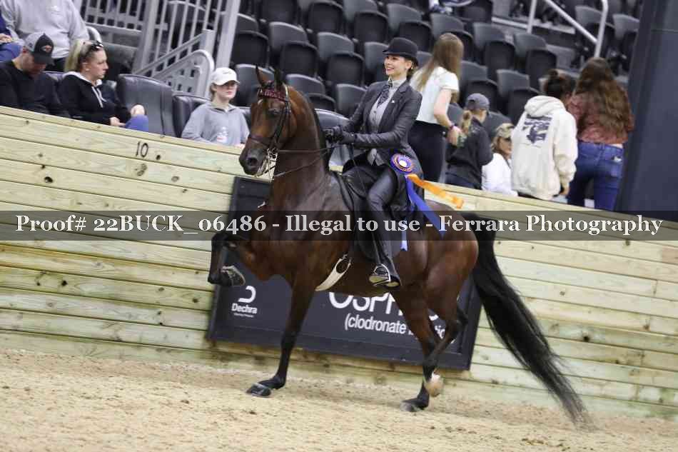 Proof 22BUCK_06486