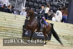 22BUCK_06486 proof