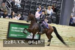 22BUCK_06487 proof