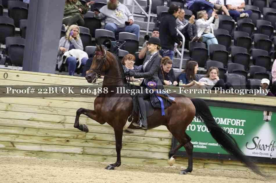 Proof 22BUCK_06488