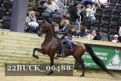 22BUCK_06488 proof