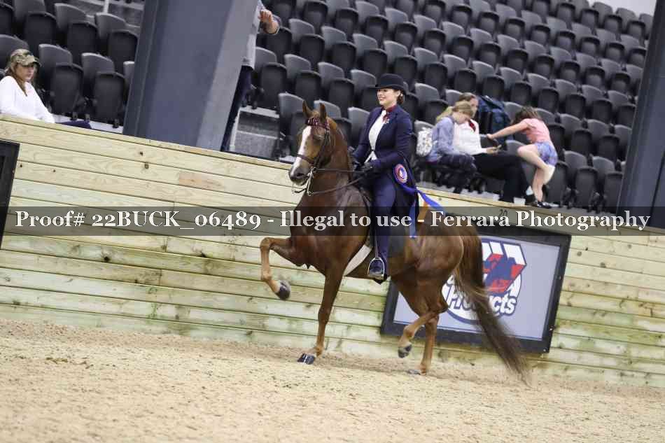 Proof 22BUCK_06489