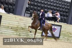 22BUCK_06489 proof